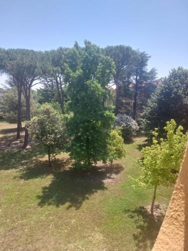 Largo catallo Hotel in Pisa
