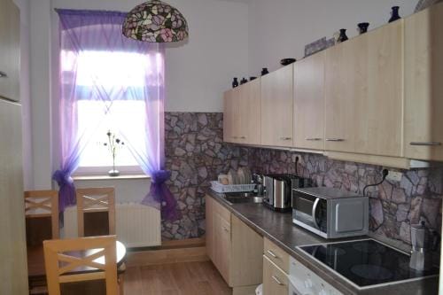 AA-Apartment -7 Wohnungen fur Geschaftsreisende - wie zu Hause Hotel in Chemnitz