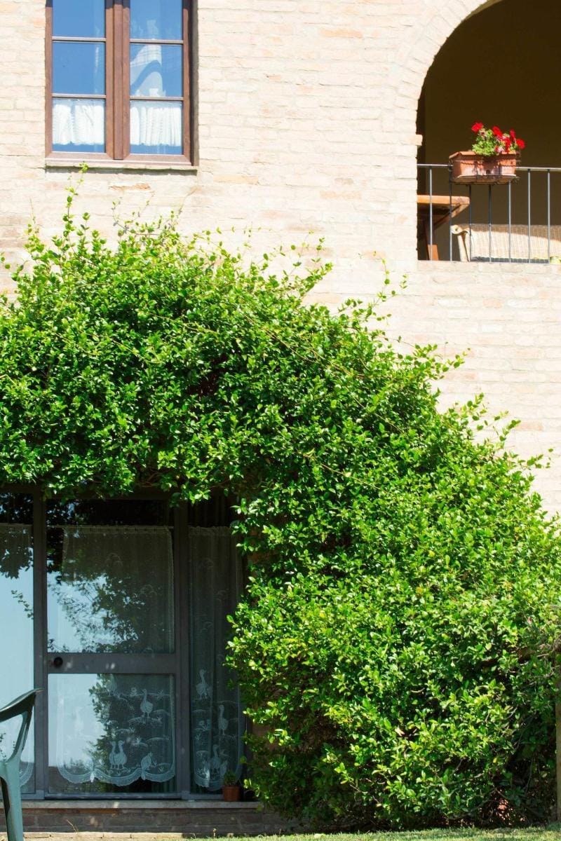 Podere Vesta Hotel in Tuscany