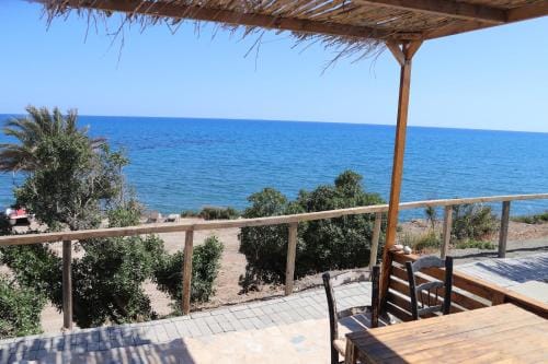 Summer Dream Cyprus Hotel in Larnaca District