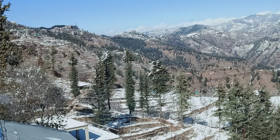 Madhav Palace Homestay Fagu Hotel in Himachal Pradesh