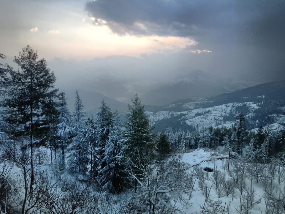 Madhav Palace Homestay Fagu Hotel in Himachal Pradesh