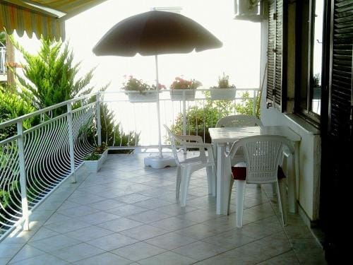 Pansion Svetlana Hotel in Kotor Municipality