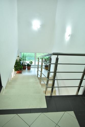 Peron Hostel in Montenegro