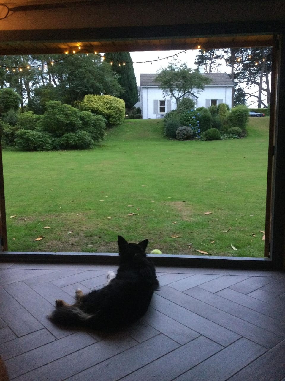 Drumee Lodge Hotel in Northern Ireland