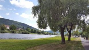 Hotel Alba Wertheim Hotel in Hesse