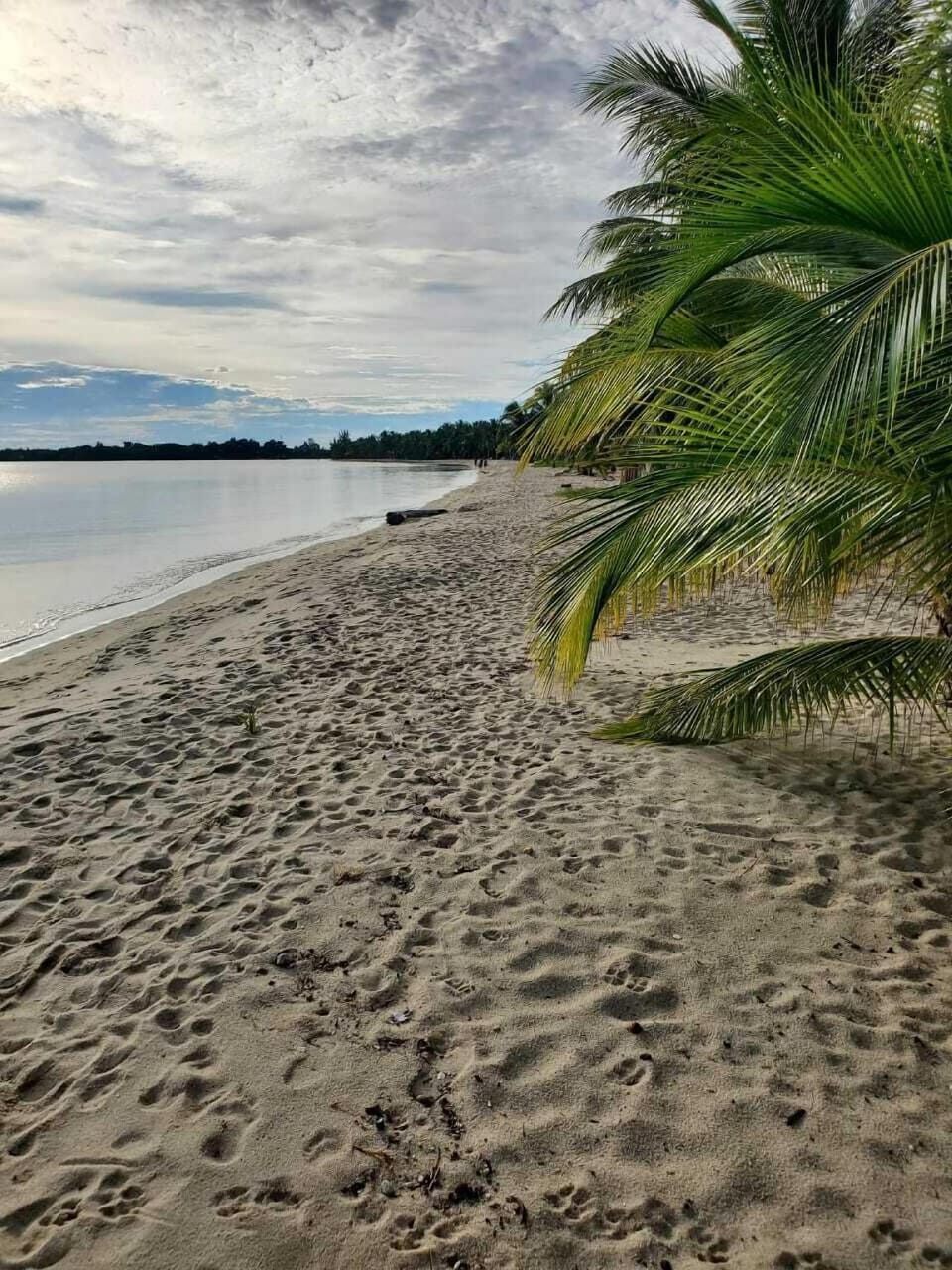 Imanis Inn Hotel in Placencia