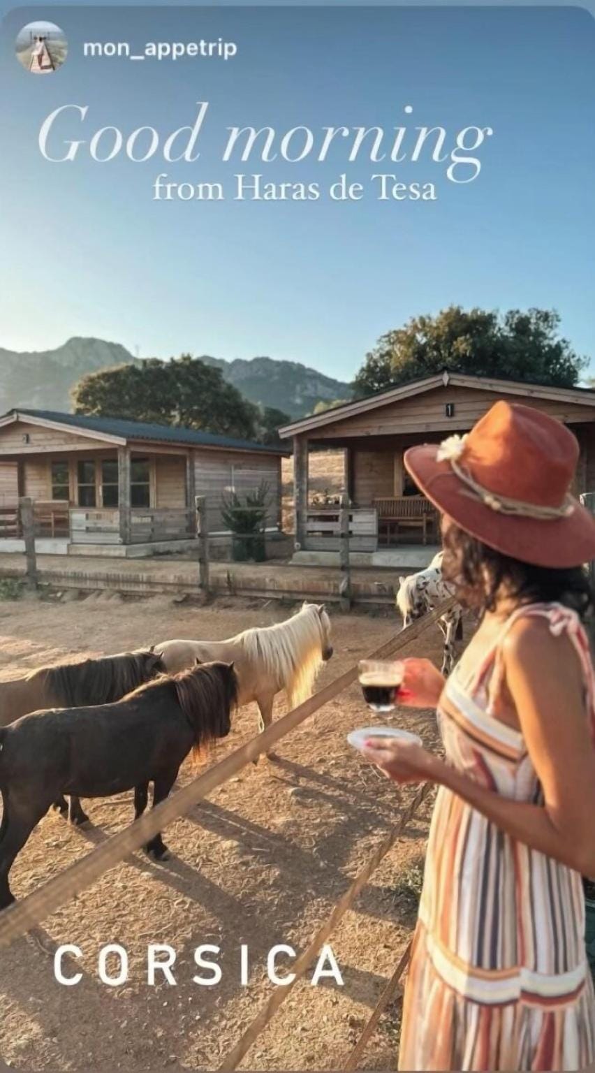 Les Chalets de Tesa Hotel in Corsica
