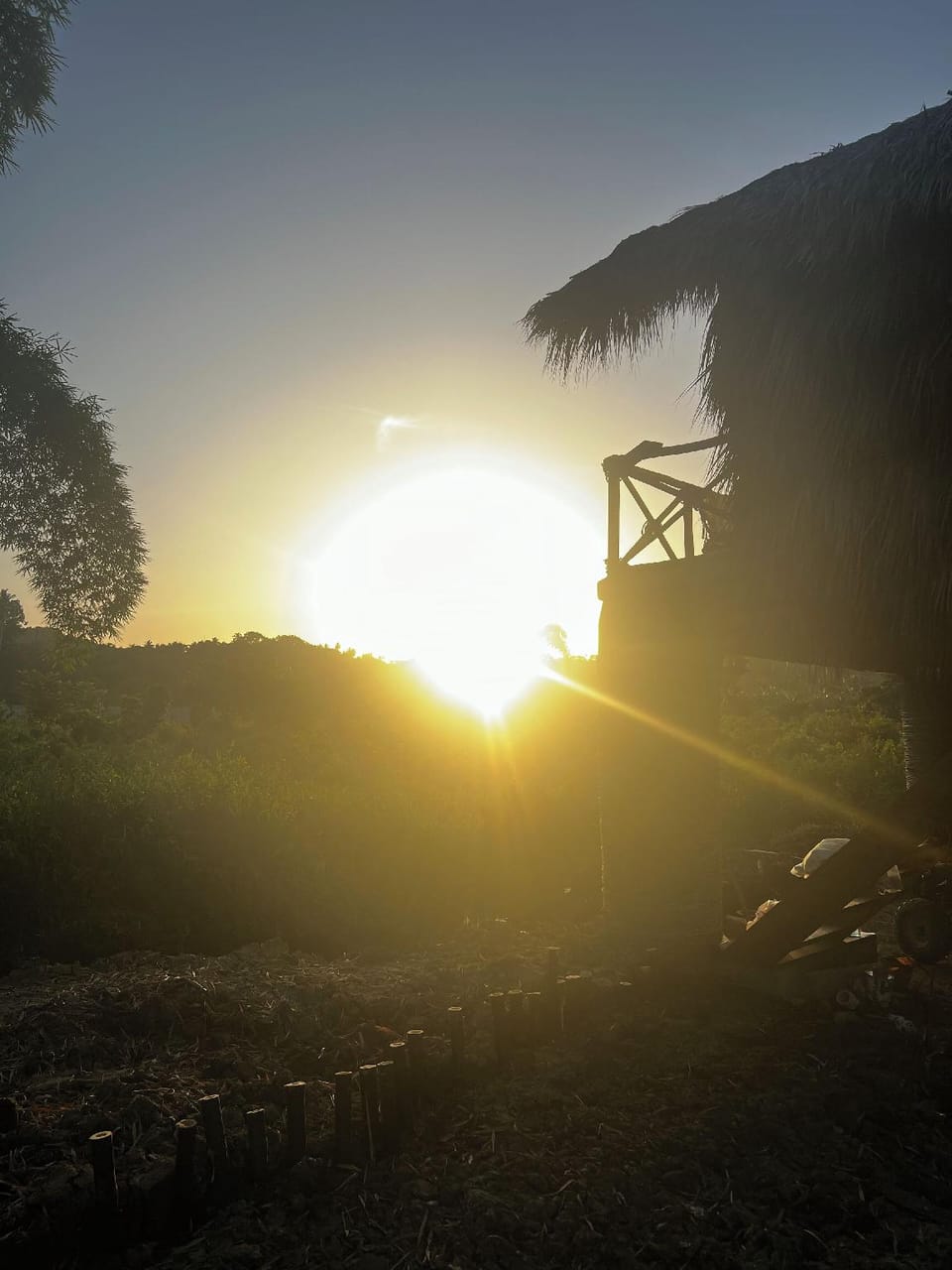 Dominican Jungle Resort Hotel in Samaná Province