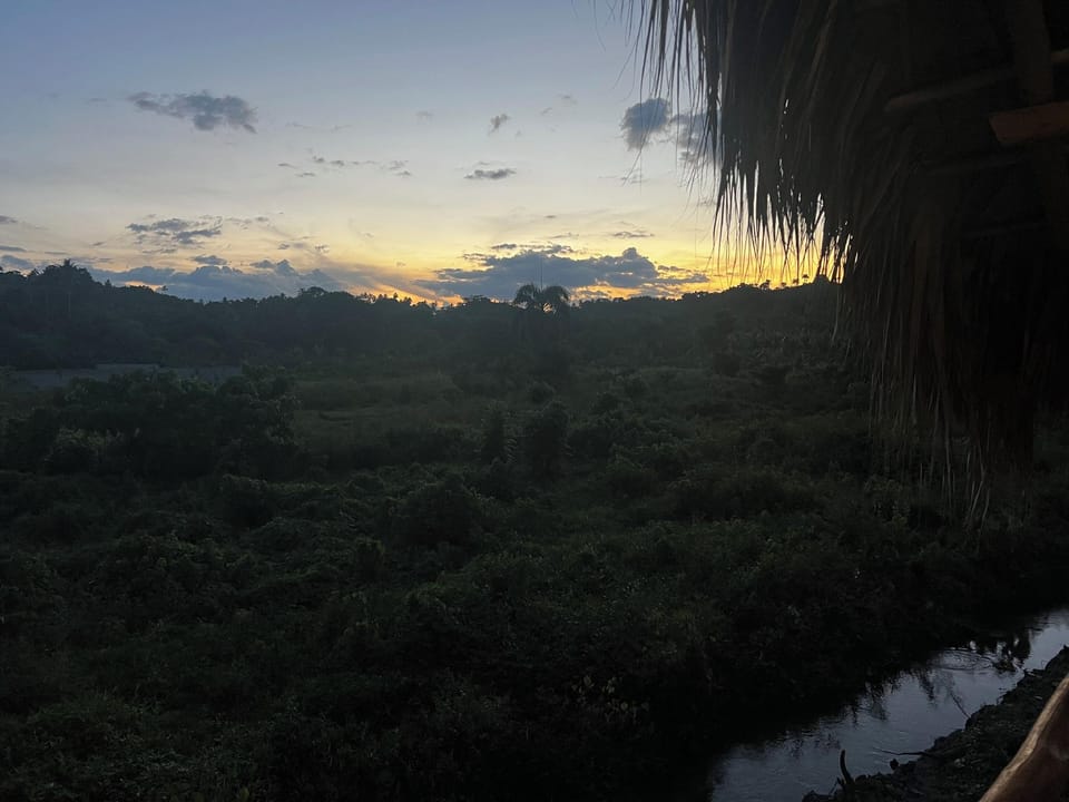 Dominican Jungle Resort Hotel in Samaná Province