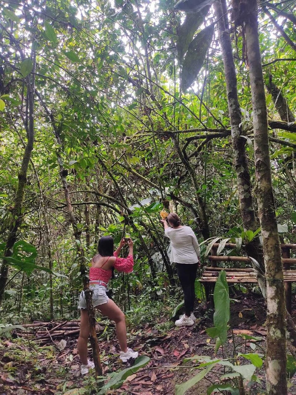 Bosques de la pradera Hotel in Manizales