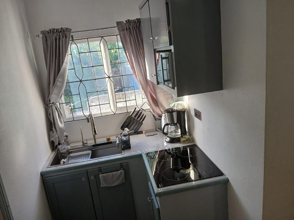 Quaint Studio Apartment in Soufriere From Claviers Hotel in Caribbean