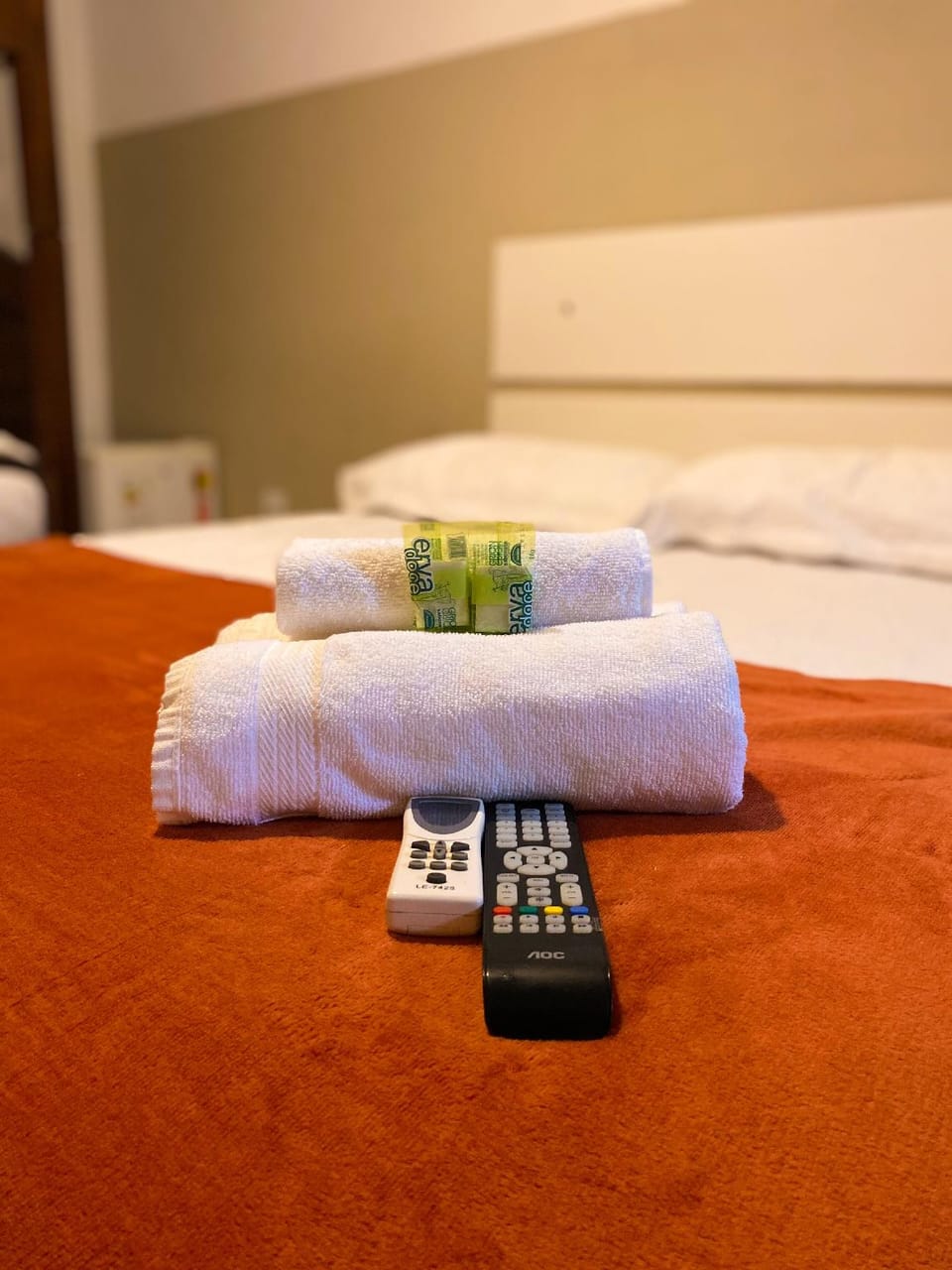 Pousada Recanto Tangará Hotel in Paraty