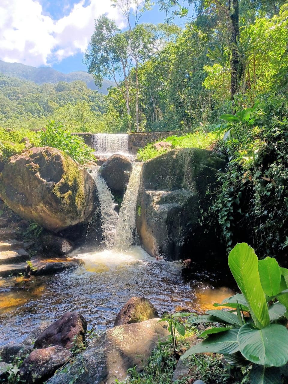 Maple Leaf Ecovillage Camping & Reserve Hotel in Resende