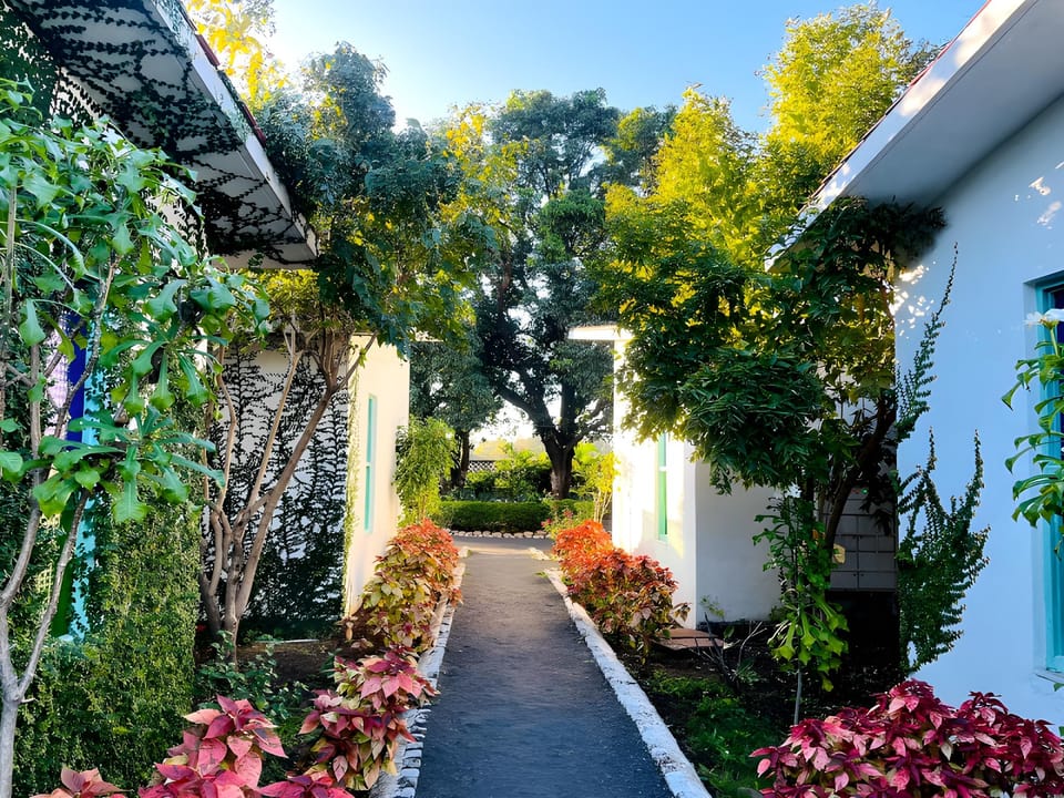 Tiger Safari Lodge Hotel in India