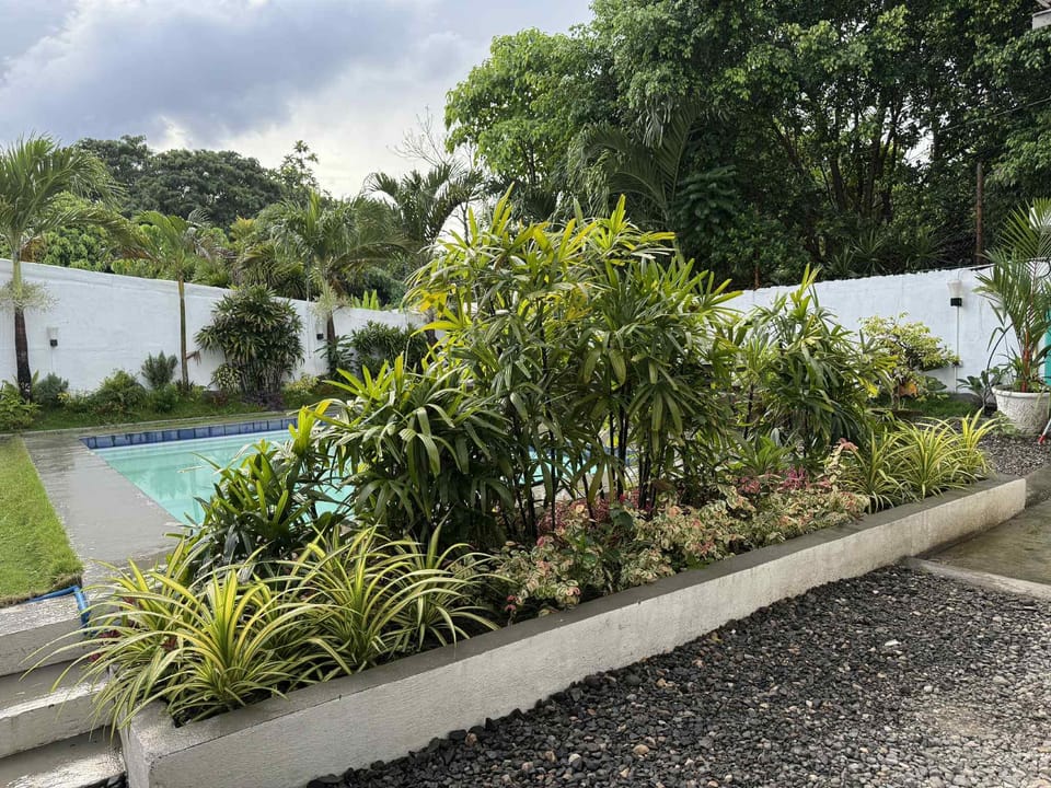 SOLA GUESTHOUSE Hotel in Dumaguete