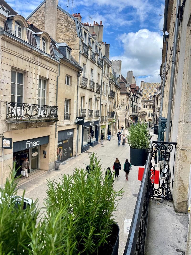 Alfred Suites Hotel in Dijon
