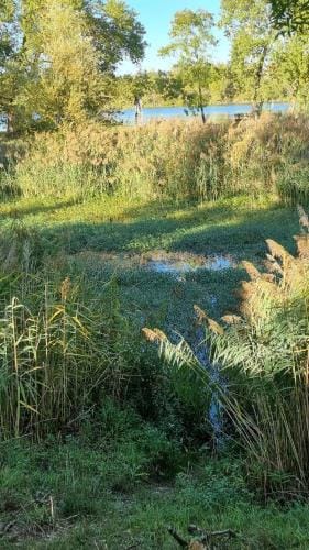 Les Moineaux de Crussol Hotel in Valence