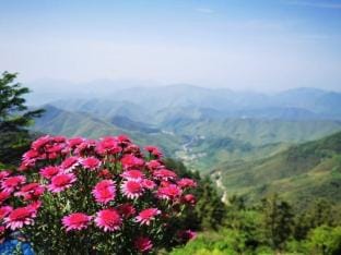 Ear Garden Guesthouse Hotel in Zhejiang