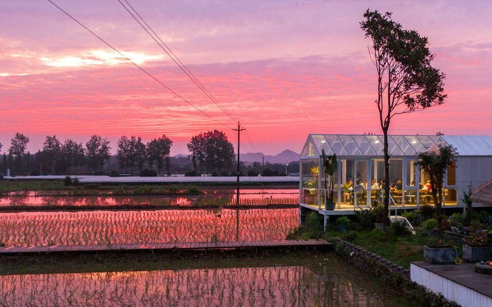 MOUNTAIN FIELD  FLOWER HOUS Hotel in Zhejiang