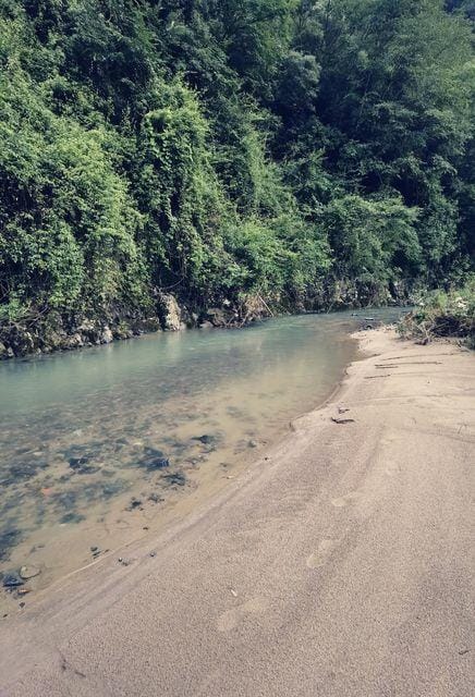 Anji Field Song Stream Wilderness Hot Spring Tribe Hotel in Zhejiang
