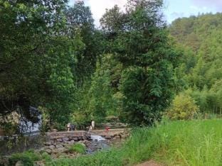 Wuyuan Xipan Homestay (Guling Scenic Area) Hotel in Zhejiang