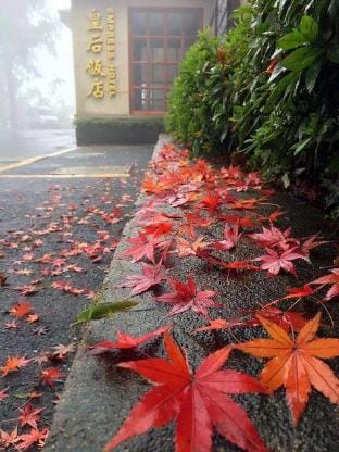 Moganshan Queen Hotel (inside Moganshan Scenic Area) Hotel in Zhejiang