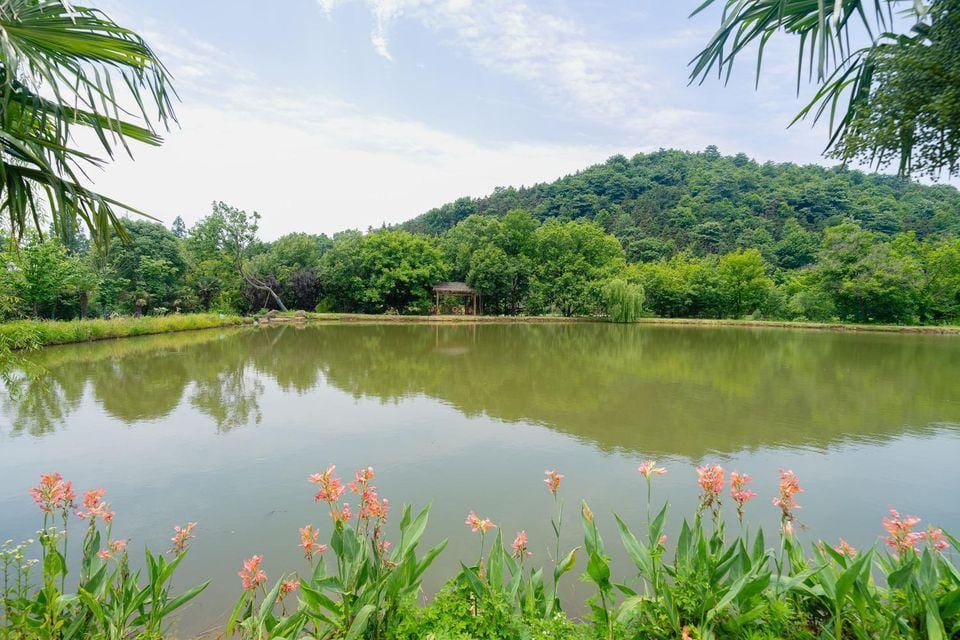 Lujiang Yefushanju Residence Resort Hotel Hotel in Jiangsu