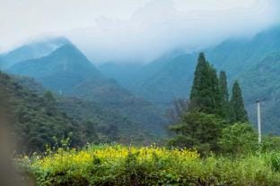 Yunshang Grassland Anji Buyu Time Parent-Child Holiday Homestay Hotel in Hangzhou