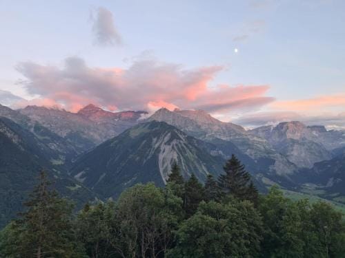 Adrenalin Backpackers Hotel Hotel in St. Gallen, Switzerland
