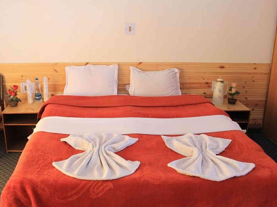 Hotel Mahay Palace Hotel in India