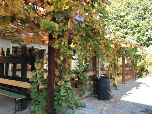 Pension Unstrutpromenade Hotel in Thuringia, Germany