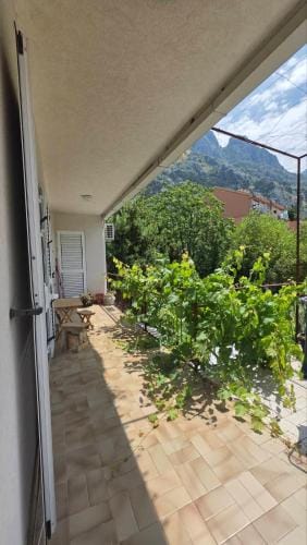 Golden Bay Apartment Hostel in Dobrota