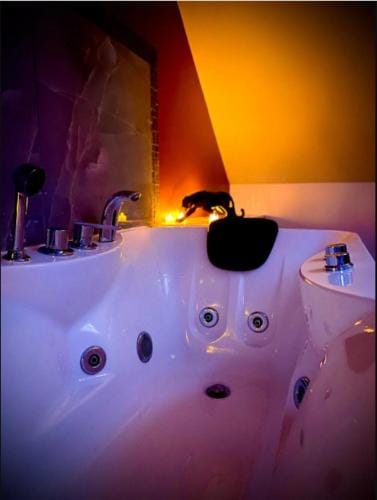 Alcova Hotel in Wallonia, Belgium