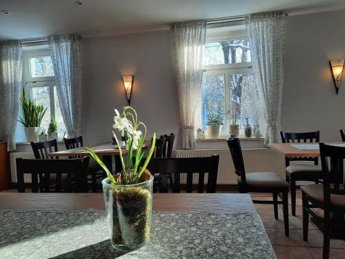 Pension Kastanienhof Hotel in Thuringia, Germany