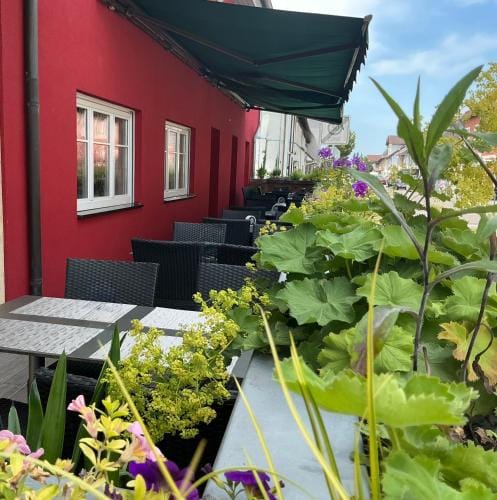 Hotel Gasthaus Roter Ochsen Hotel in Ortenau