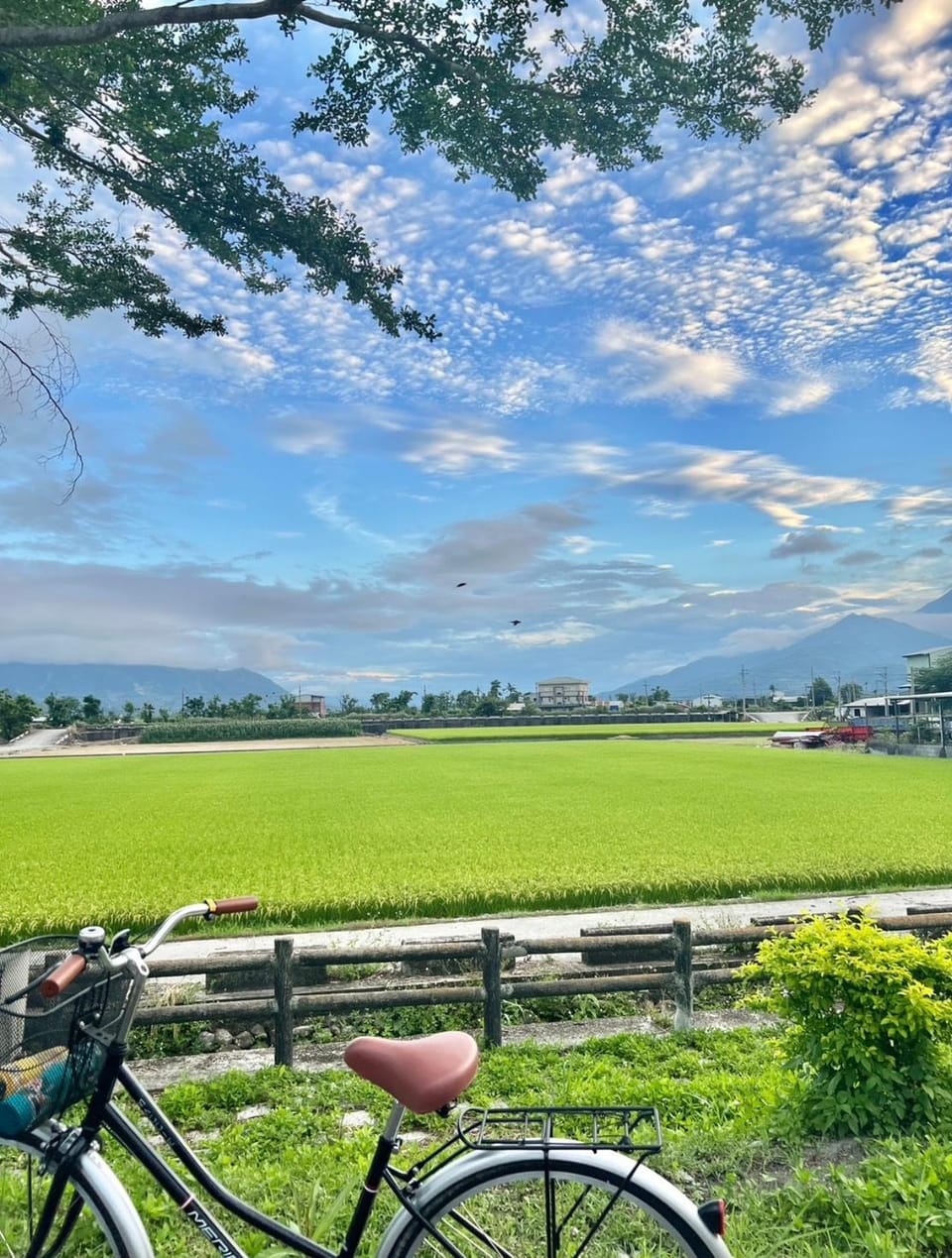 風和日麗民宿 Lodge in Taiwan, Province of China