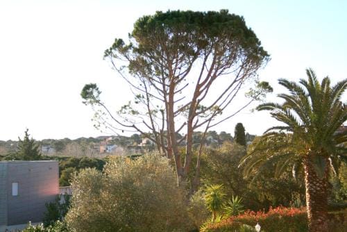 Studio Quietude Hotel in Roquebrune-sur-Argens