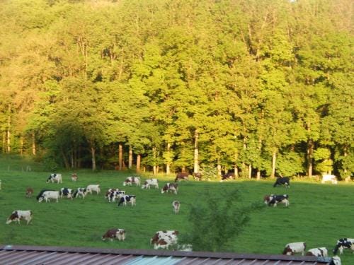 A la source du saolon Hotel in Vosges