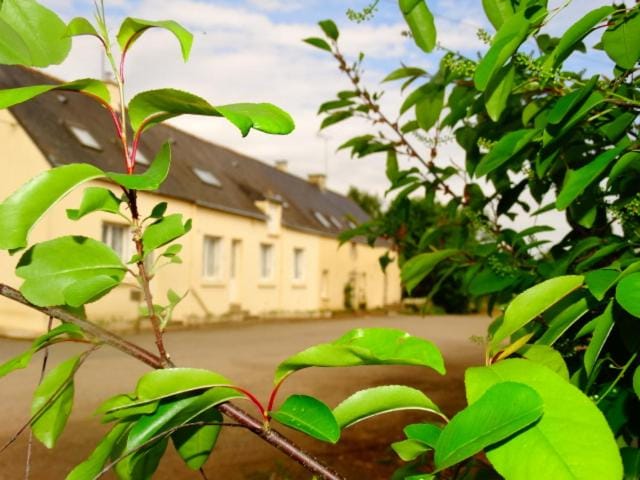 Chambres d'hotes " Moulin du Couedic " Hotel in Brittany