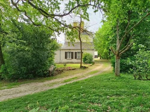 VILLA ESPERANZA Suite de plain-pied, independante, 1 a 4 personnes proche Zoo de Beauval et chateaux Hotel in Centre-Val de Loire
