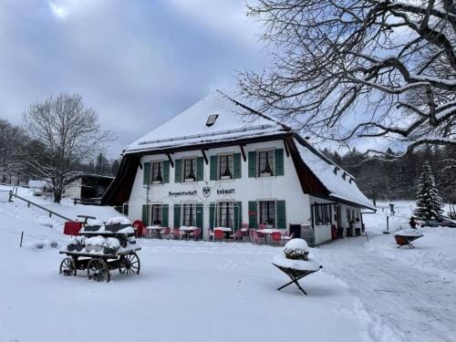 La Hohmatt Hotel in Canton of Bern (Region)