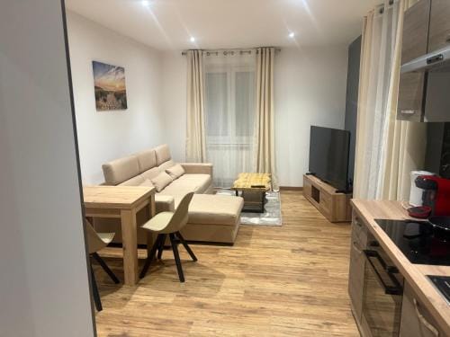 Appart Hotel la roseraie Hotel in Mulhouse