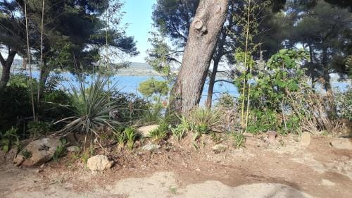 Le Cycas de la Palmeraie Hotel in Provence-Alpes-Côte d'Azur