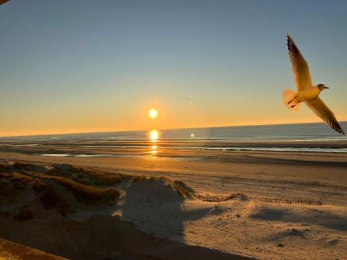 Baie de Somme Villa gros Becs Hotel in Hauts-de-France