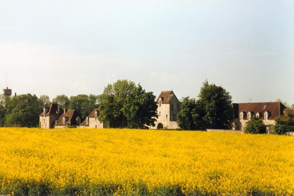 Surrounding environment