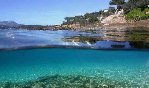 Les Pieds dans l'Eau Hotel in Nice