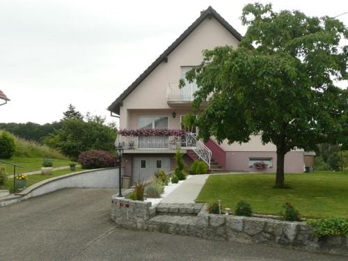 Chez Anny et Jean Au Mittelbuehl,Reichshoffen,Pays de Niederbronn les Bains Hotel in Baden-Württemberg