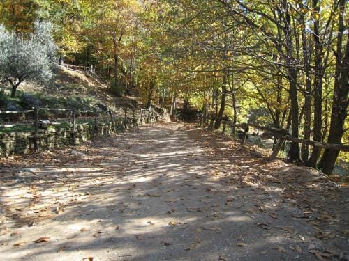 Centro Trekking a Cavallo Monte Brugiana Lodge in Province of Massa and Carrara