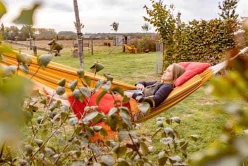 De Zevende Zon Hotel in Flanders